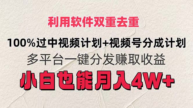 利用软件双重去重，100%过中视频+视频号分成计划小白也可以月入4W+-贝贝资源网